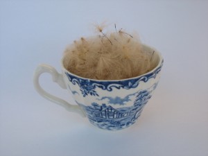 Gibson_Hot Cup of Fluff